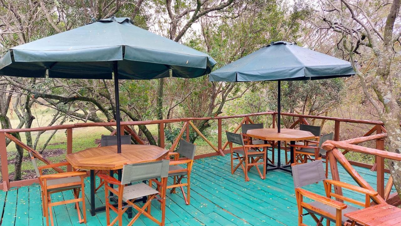 Greenwood Safari Camp Talek Εξωτερικό φωτογραφία