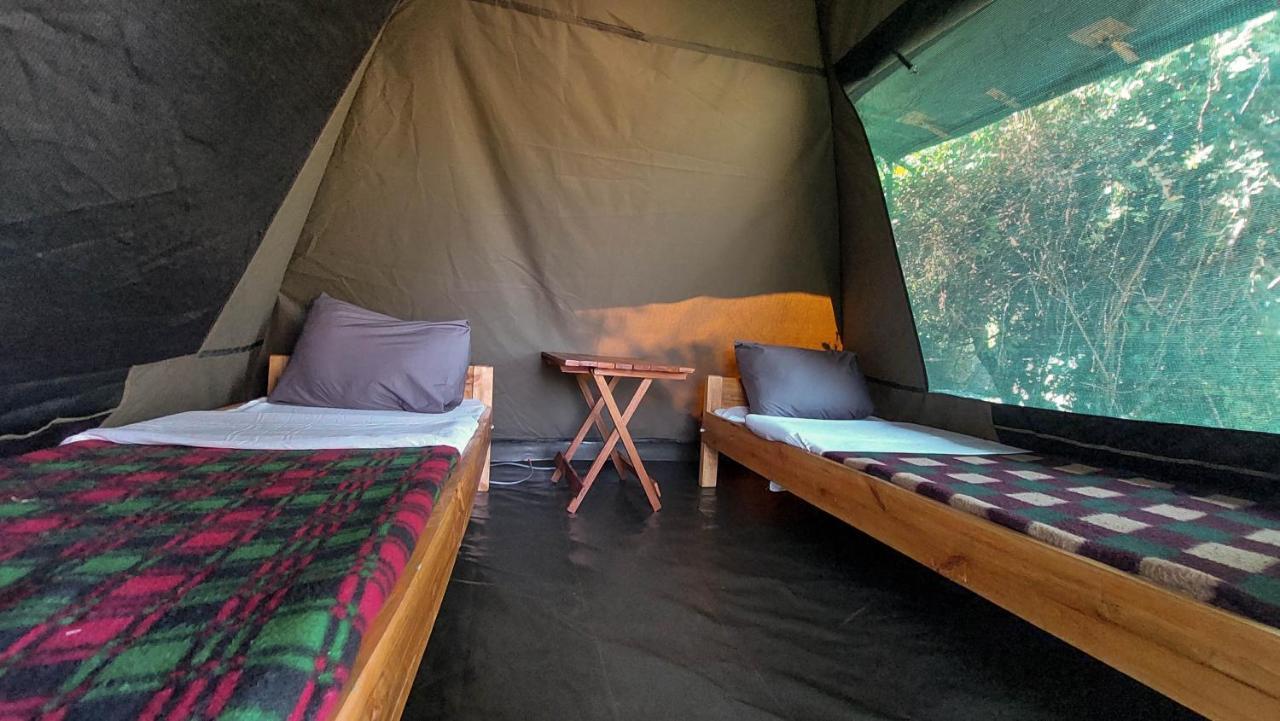 Greenwood Safari Camp Talek Εξωτερικό φωτογραφία