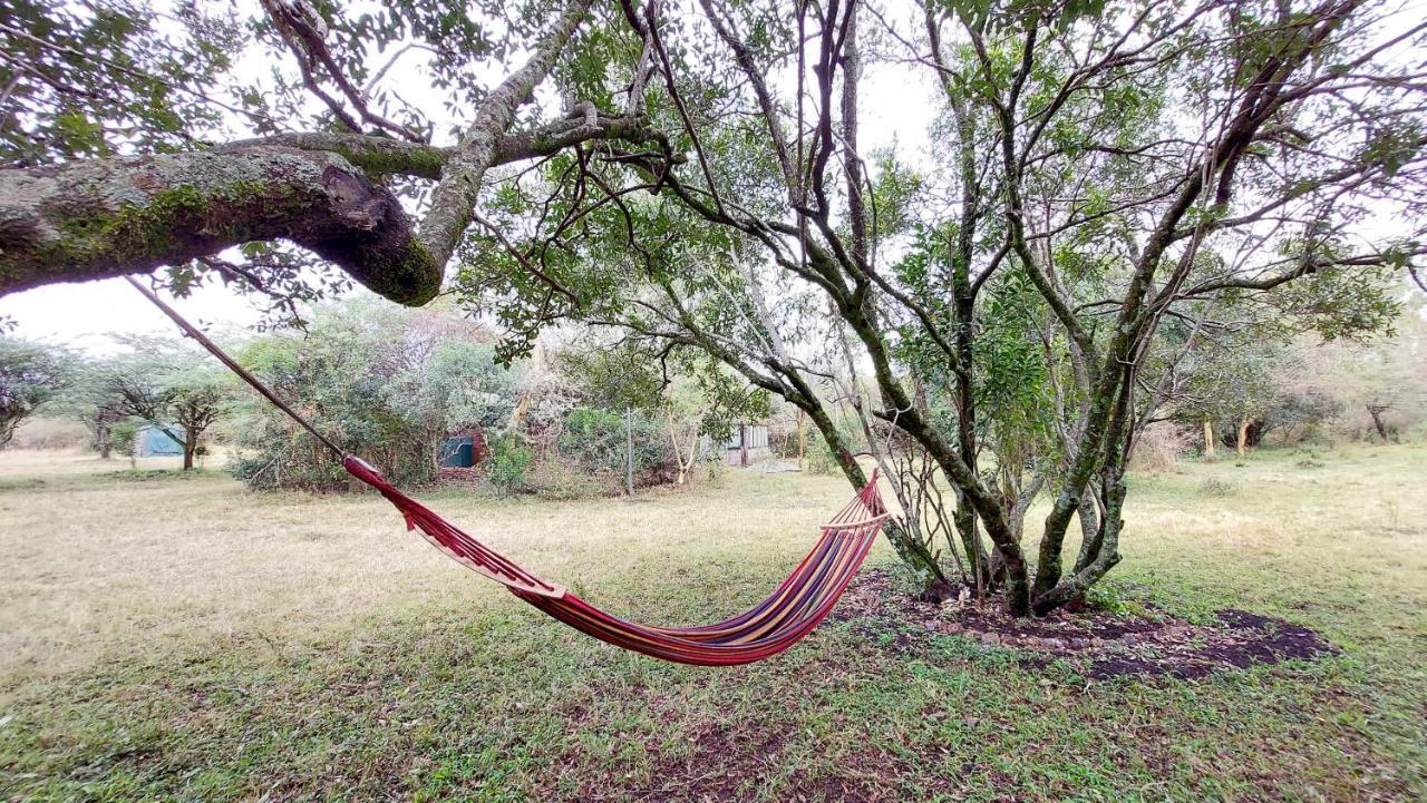 Greenwood Safari Camp Talek Εξωτερικό φωτογραφία