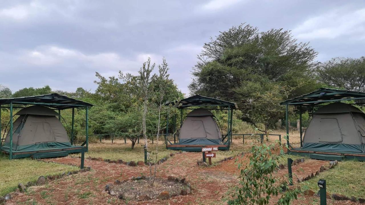 Greenwood Safari Camp Talek Εξωτερικό φωτογραφία