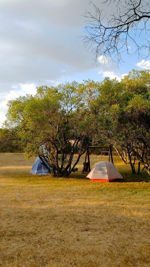 Greenwood Safari Camp Talek Εξωτερικό φωτογραφία