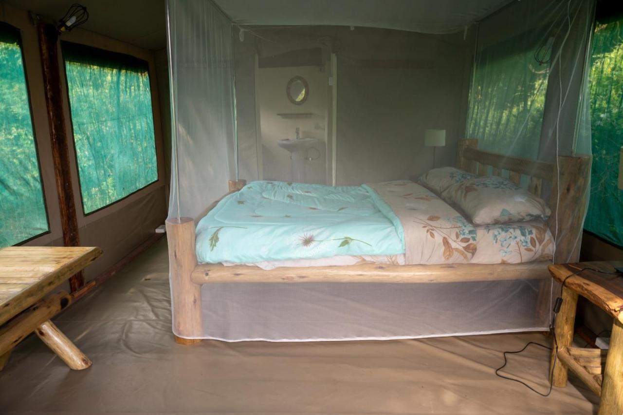 Greenwood Safari Camp Talek Εξωτερικό φωτογραφία