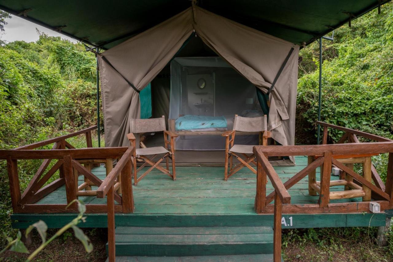 Greenwood Safari Camp Talek Εξωτερικό φωτογραφία