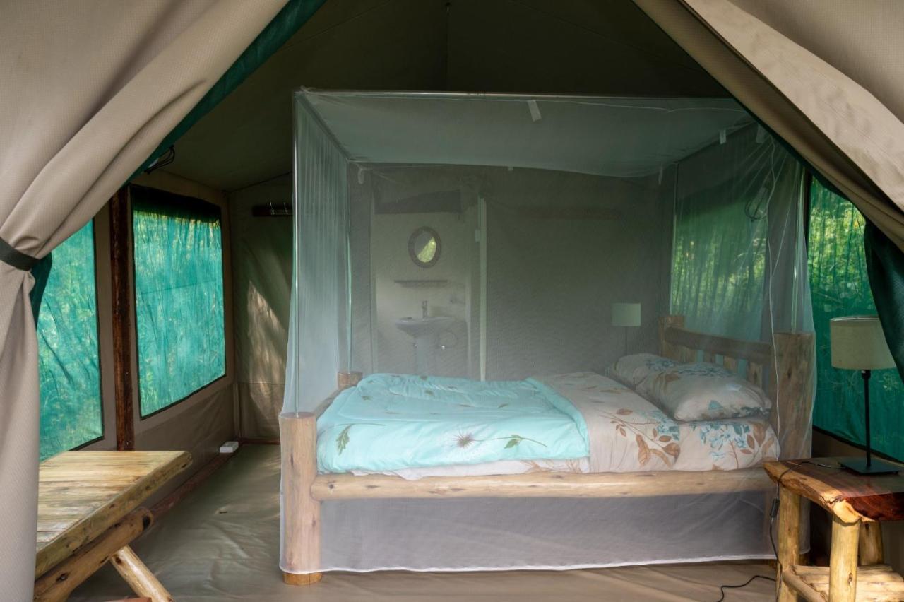 Greenwood Safari Camp Talek Εξωτερικό φωτογραφία