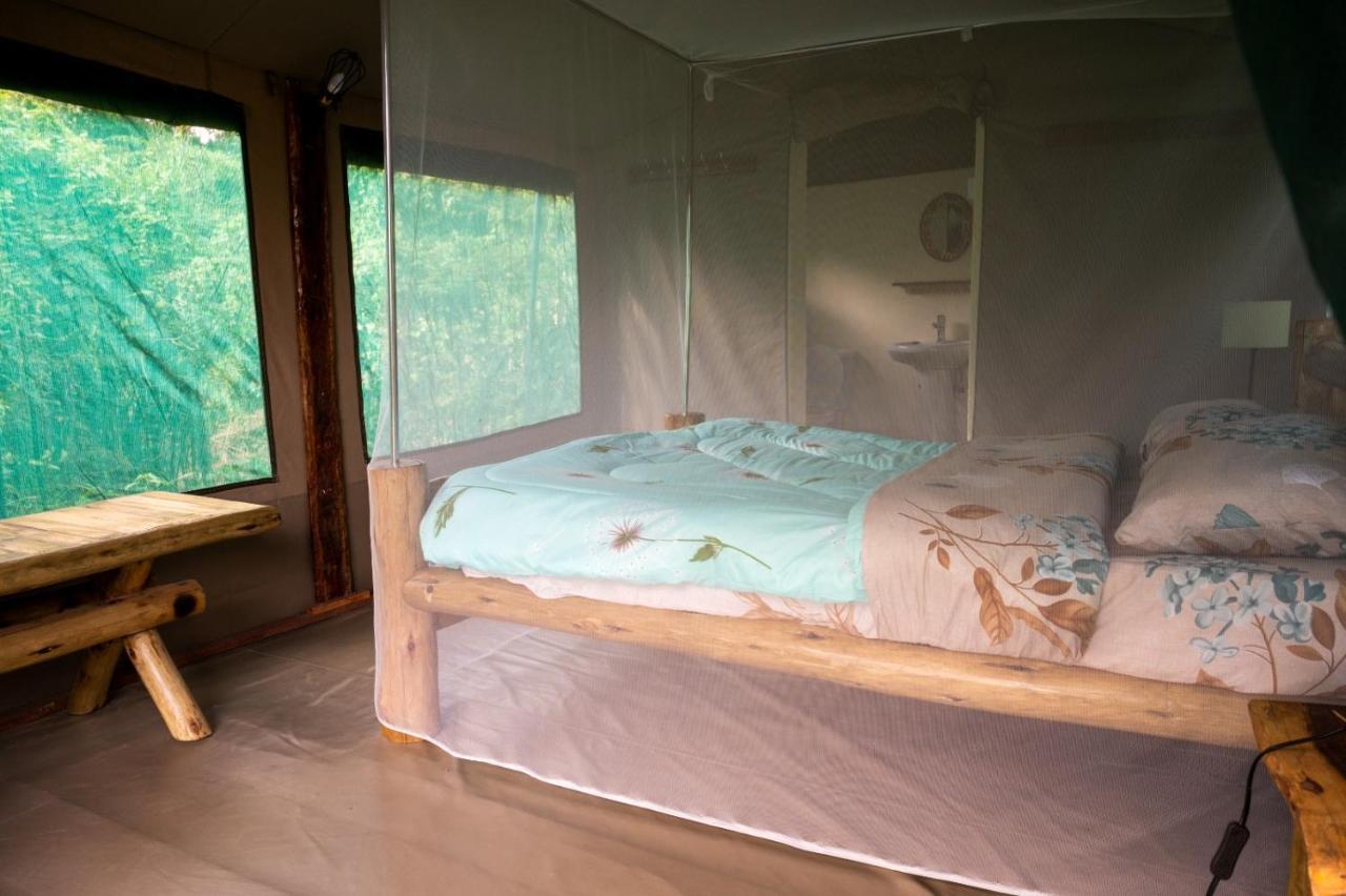 Greenwood Safari Camp Talek Εξωτερικό φωτογραφία